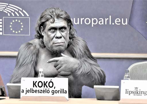 l9kytbyw4wfe1 másolata.jpg